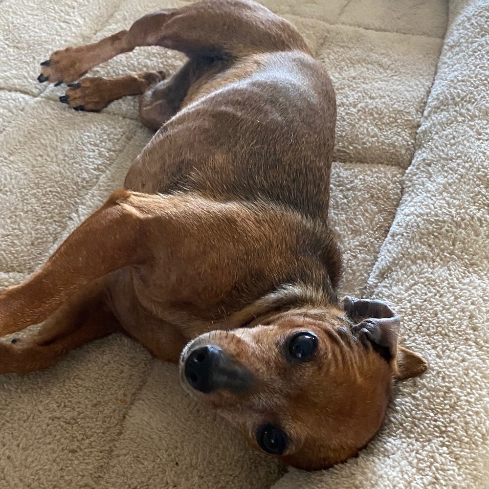 Meet your Posher, Francesca